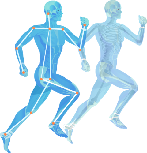 VAY Human Motion Analysis