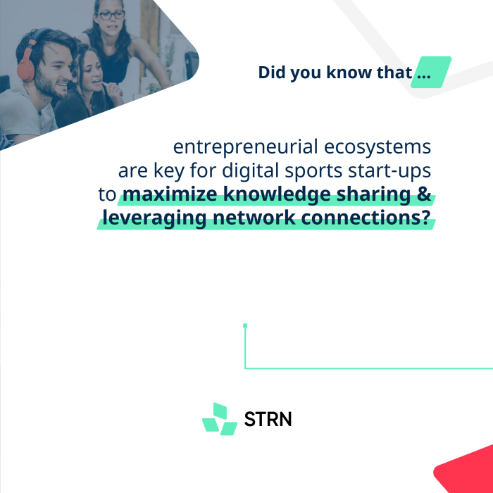 STRN_Infographic_EntrepreneurialEcosystems_Intro